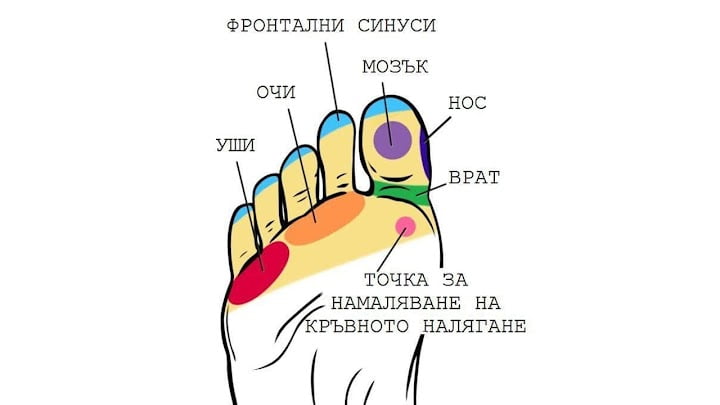 Рефлексология: Точките на ходилата като ключ към здравето и облекчението на болките 9 Рефлексология: Точките на ходилата като ключ към здравето и облекчението на болките